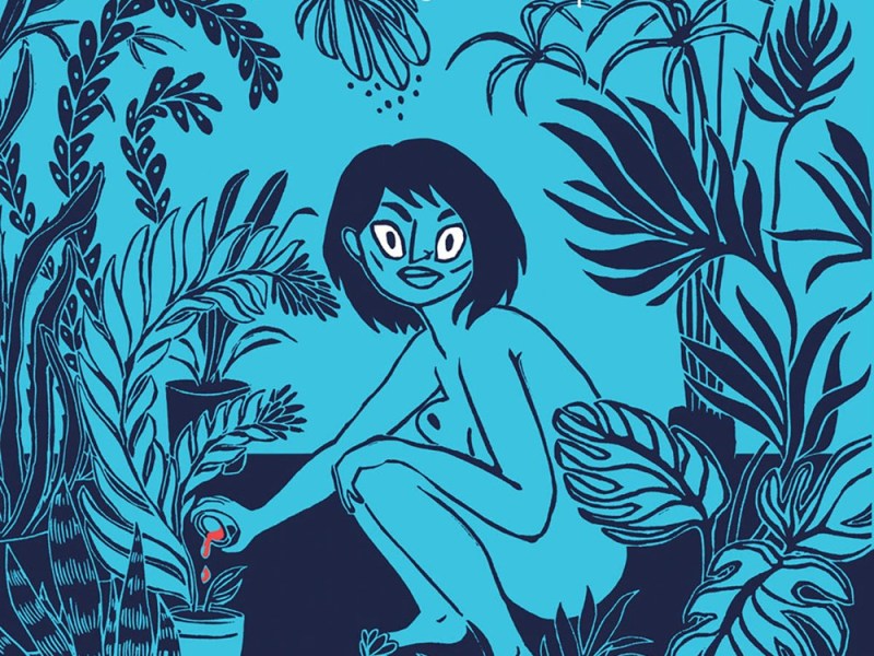 The Amazing Camel Toe offers a nostalgic look at modern superhero feminism